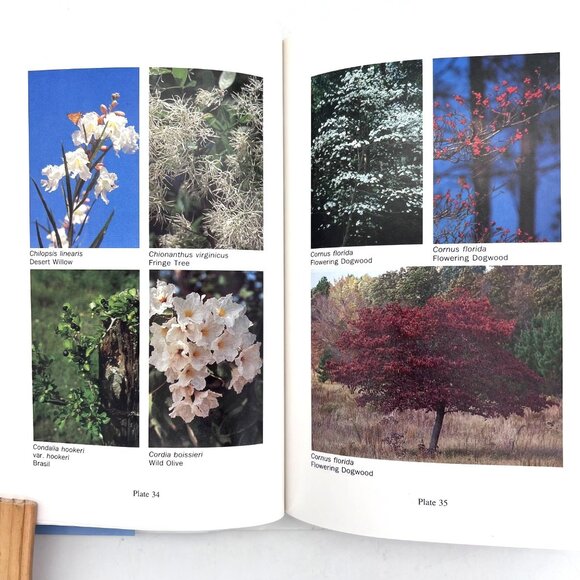 A Field Guide To Texas Trees By Benny J. Simpson Hardcover 1988 Signed by Author - Picture 9 of 16